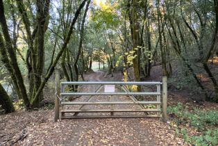 Single Family Residence,  Mill Creek road, Healdsburg, CA 95448 - 41