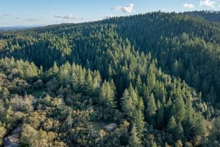 Single Family Residence,  Mill Creek road, Healdsburg, CA 95448 - 40