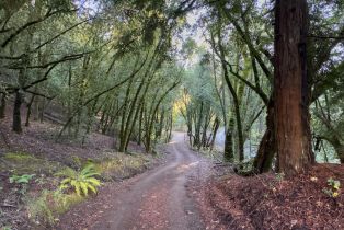 Single Family Residence,  Mill Creek road, Healdsburg, CA 95448 - 39