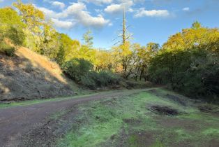 Single Family Residence,  Mill Creek road, Healdsburg, CA 95448 - 36