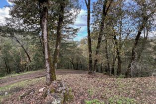 Single Family Residence,  Mill Creek road, Healdsburg, CA 95448 - 35