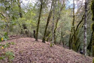 Single Family Residence,  Mill Creek road, Healdsburg, CA 95448 - 37