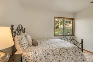Single Family Residence,  Mill Creek road, Healdsburg, CA 95448 - 22