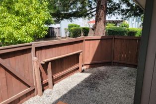 Single Family Residence,  Cross avenue, Santa Rosa, CA 95401 - 10