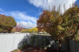 Condominium, Elbridge avenue, Cloverdale, CA 95425 - 19