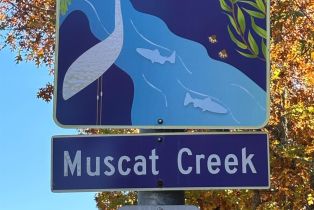 Condominium, Elbridge avenue, Cloverdale, CA 95425 - 42