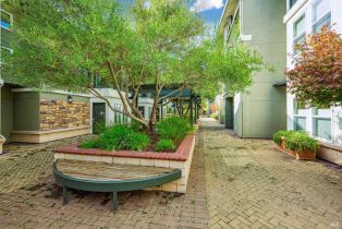 Condominium,  1st street, Sonoma, CA 95476 - 46
