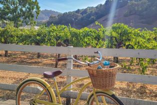 Single Family Residence,  Forrester lane, Yountville, CA 94599 - 52