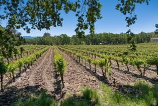 Single Family Residence,  Buckeye road, Kenwood, CA 95452 - 69