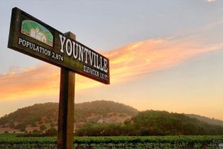 Single Family Residence,  Adams street, Yountville, CA 94599 - 67