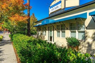 Single Family Residence,  Adams street, Yountville, CA 94599 - 66