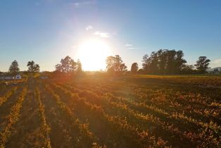 Residential Acreage,  Cuttings Wharf road, Napa, CA 94559 - 11