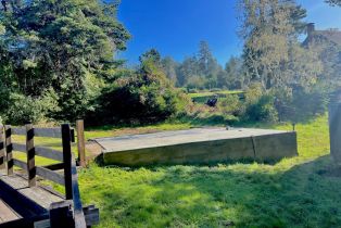 Single Family Residence,  Fly Cloud road, Sea Ranch, CA 95497 - 43