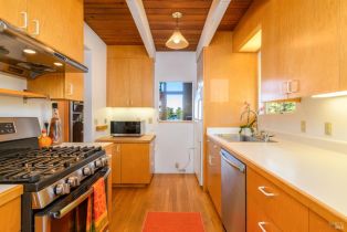 Single Family Residence,  Fly Cloud road, Sea Ranch, CA 95497 - 22