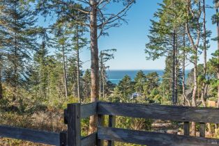 Single Family Residence,  Fly Cloud road, Sea Ranch, CA 95497 - 14