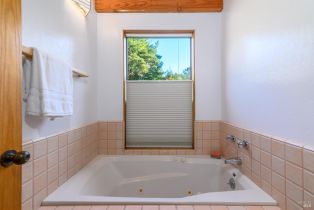 Single Family Residence,  Fly Cloud road, Sea Ranch, CA 95497 - 38