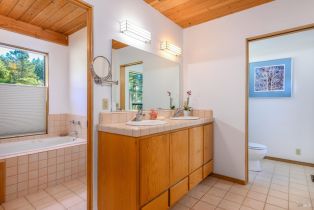 Single Family Residence,  Fly Cloud road, Sea Ranch, CA 95497 - 37