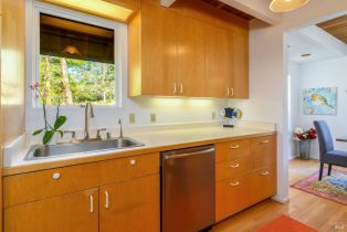Single Family Residence,  Fly Cloud road, Sea Ranch, CA 95497 - 23