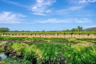 Single Family Residence, Old Redwood highway, Santa Rosa, CA 95403 - 46