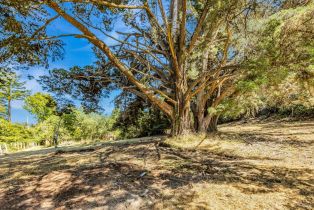 Single Family Residence,  Burnside road, Sebastopol, CA 95472 - 53