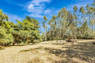 Single Family Residence,  Burnside road, Sebastopol, CA 95472 - 56