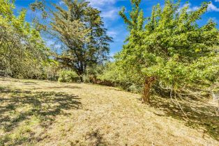 Single Family Residence,  Burnside road, Sebastopol, CA 95472 - 59