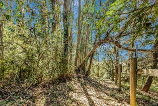 Single Family Residence,  Burnside road, Sebastopol, CA 95472 - 55