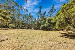 Single Family Residence,  Burnside road, Sebastopol, CA 95472 - 52