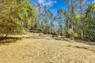 Single Family Residence,  Burnside road, Sebastopol, CA 95472 - 54