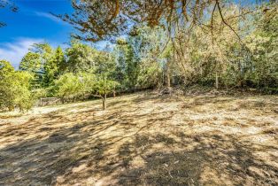Single Family Residence,  Burnside road, Sebastopol, CA 95472 - 57