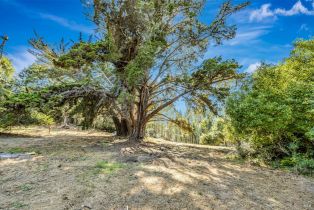Single Family Residence,  Burnside road, Sebastopol, CA 95472 - 51