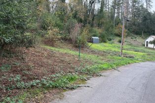 Residential Lot,  Circle drive, Angwin, CA 94508 - 5