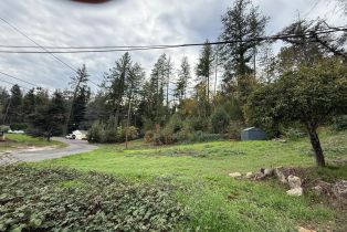 Residential Lot,  Circle drive, Angwin, CA 94508 - 2