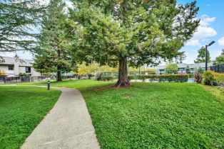 Condominium,  Valle Verde drive, Napa, CA 94558 - 49
