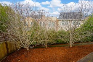 Single Family Residence,  Jacquelyn lane, Petaluma, CA 94952 - 44