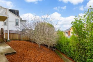 Single Family Residence,  Jacquelyn lane, Petaluma, CA 94952 - 45