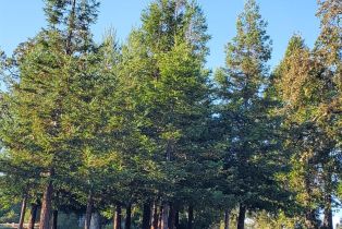 Single Family Residence,  Burke place, Sonoma, CA 95476 - 81