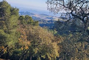 Single Family Residence,  Burke place, Sonoma, CA 95476 - 80