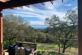 Single Family Residence,  Burke place, Sonoma, CA 95476 - 4