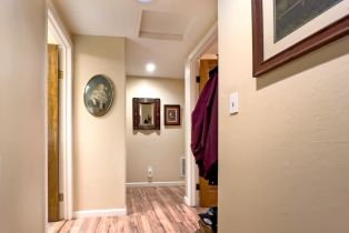 Single Family Residence,  Willow road, Russian River, CA 95471 - 17