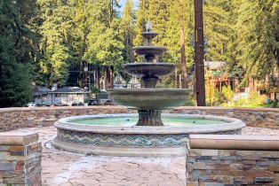 Single Family Residence,  Willow road, Russian River, CA 95471 - 21