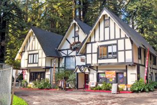 Single Family Residence,  Willow road, Russian River, CA 95471 - 22