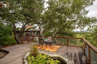 Single Family Residence,  Calle Del Arroyo road, Sonoma, CA 95476 - 46