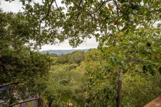Single Family Residence,  Calle Del Arroyo road, Sonoma, CA 95476 - 47