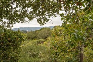 Single Family Residence,  Calle Del Arroyo road, Sonoma, CA 95476 - 48