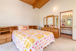 Single Family Residence,  Grey Whale road, Sea Ranch, CA 95497 - 15