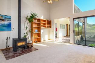 Single Family Residence,  Grey Whale road, Sea Ranch, CA 95497 - 7