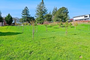 Single Family Residence,  pleasant hill road, Sebastopol, CA 95472 - 42