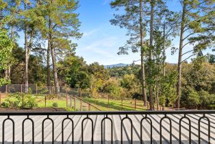 Single Family Residence,  pleasant hill road, Sebastopol, CA 95472 - 8