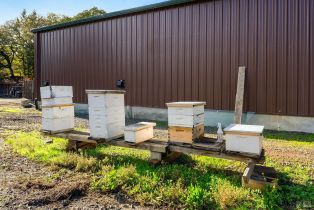 Single Family Residence,  pleasant hill road, Sebastopol, CA 95472 - 47